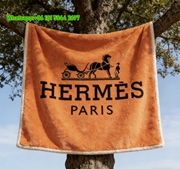 Hermès Classic Orange Horse Carriage Flannel Fleece Throw Blanket IMG_4949